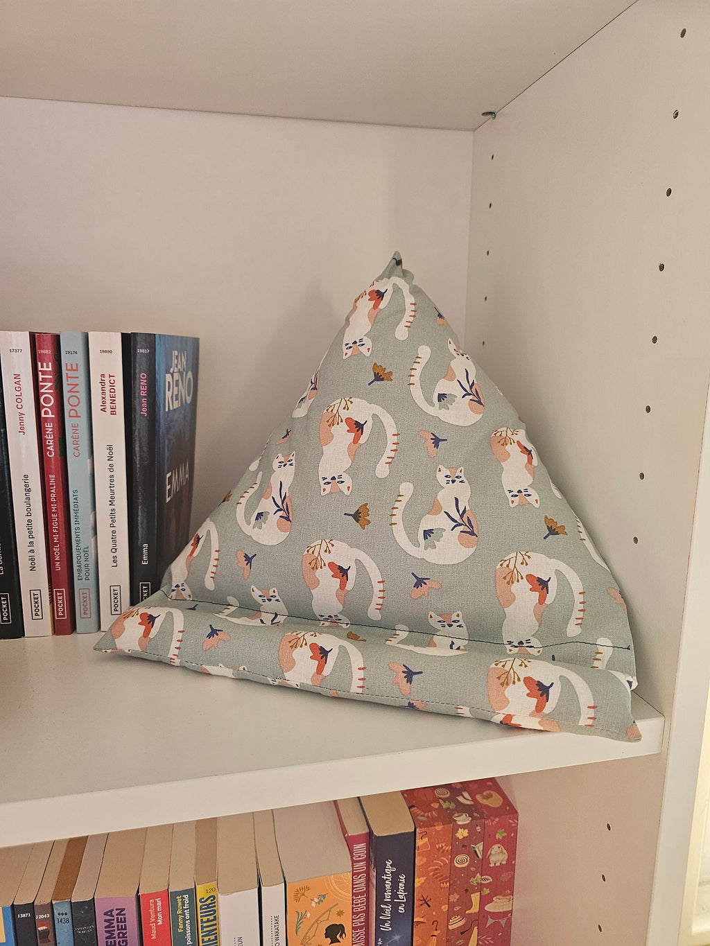 Coussin pour liseuse Vice-Verchats